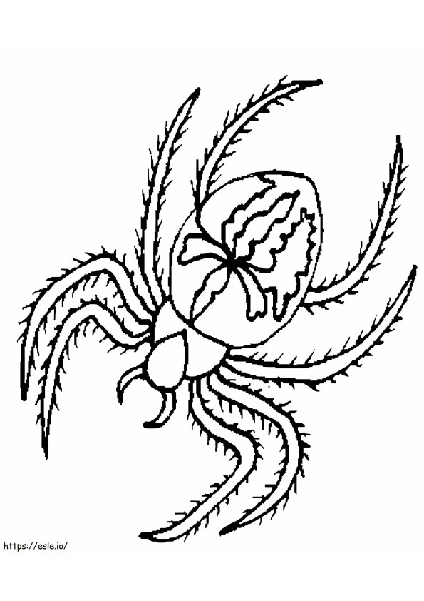 Coloriage Jolie araignée à imprimer dessin