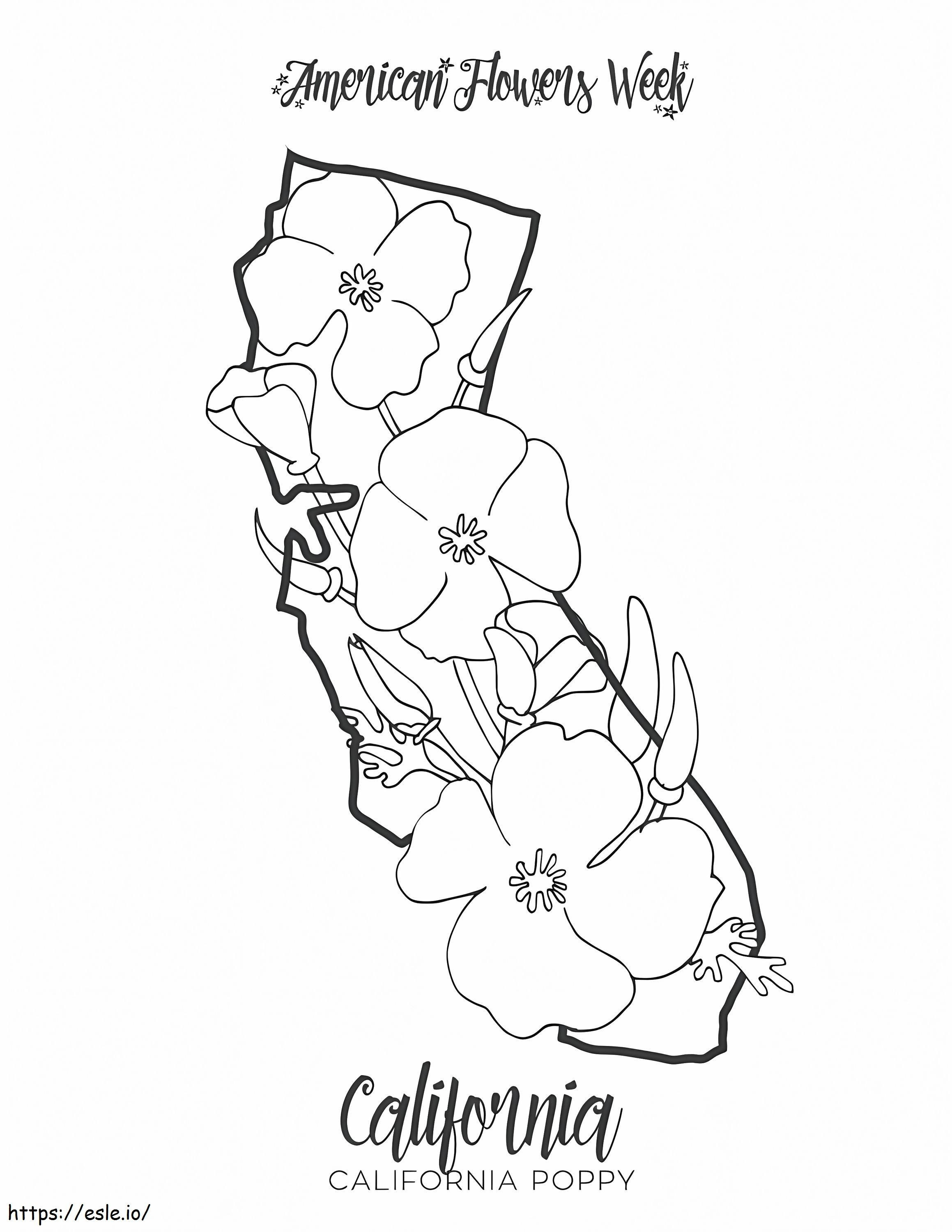 Kwiat maku stanu Kalifornia kolorowanka