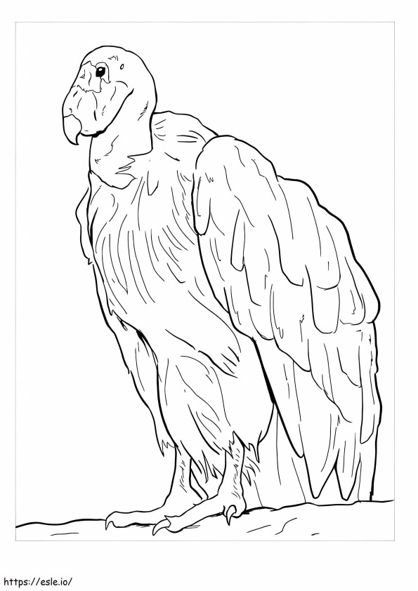Coloriage Condor de Californie Dessin à imprimer dessin