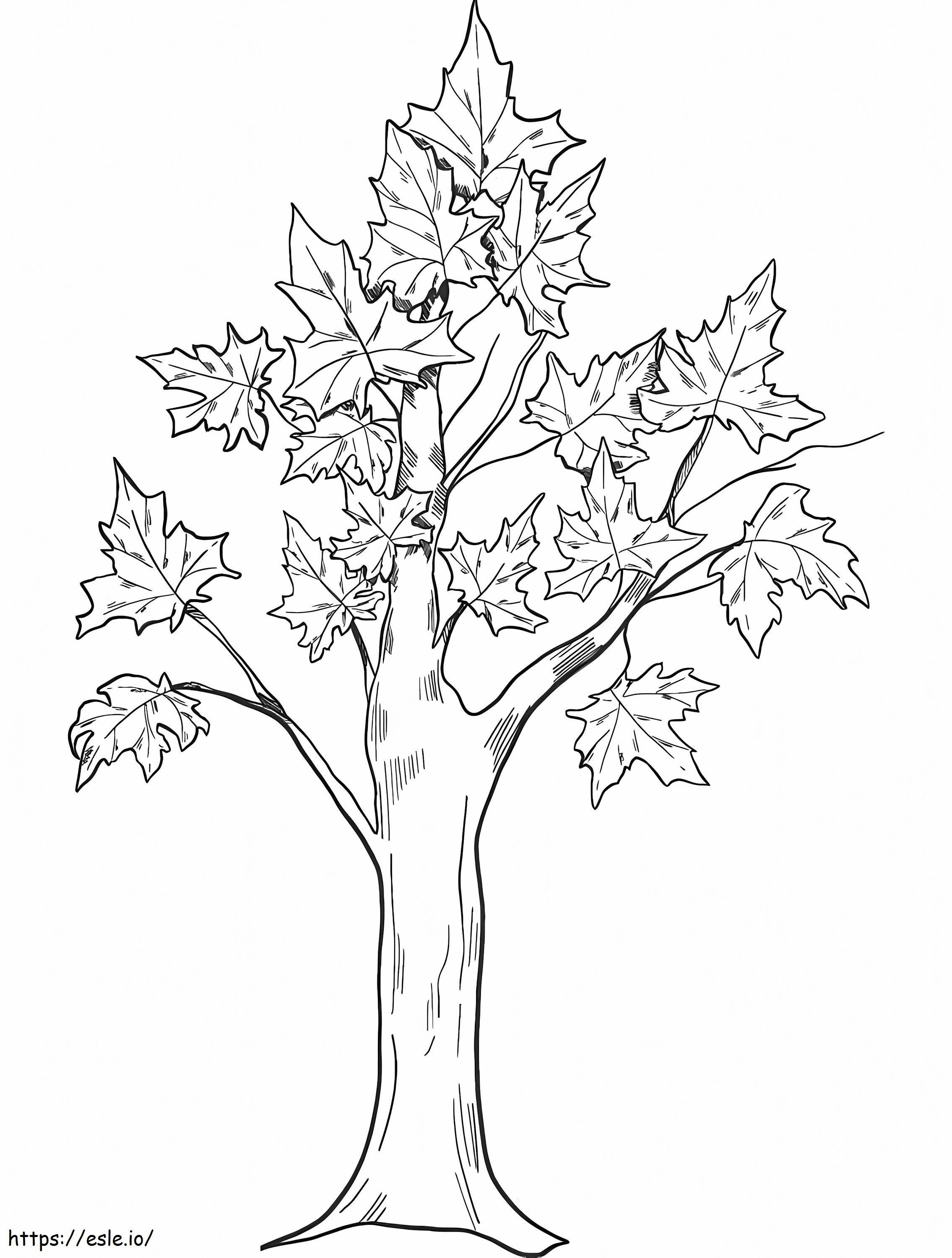 Printable Fall Tree coloring page