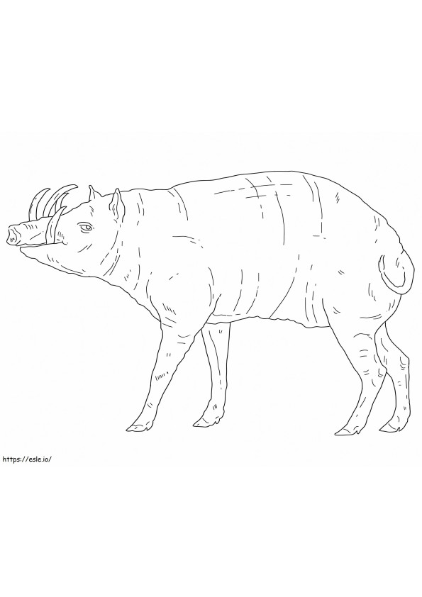 Babirusa Printable