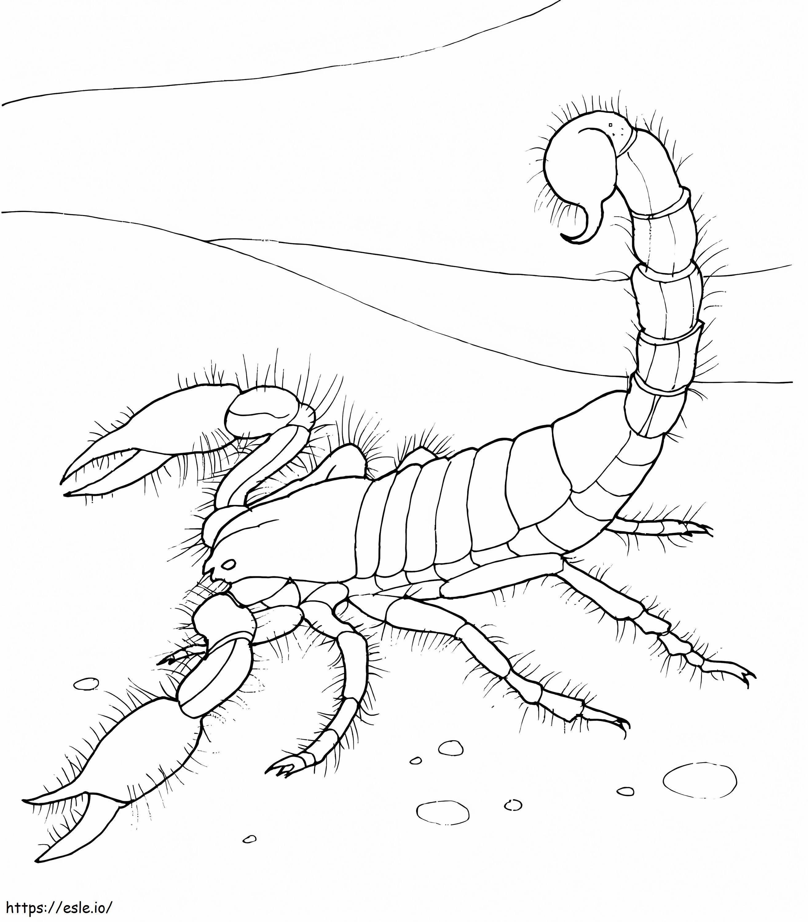 Giant Desert Scorpion 1 coloring page