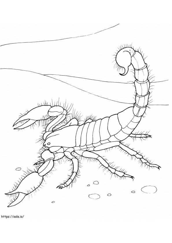 Riesiger Wüstenskorpion 1