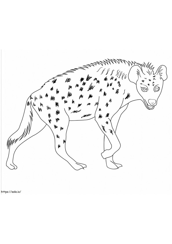 Hyena 1 kleurplaat