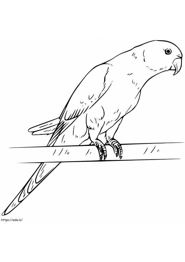Printable Parakeet coloring page