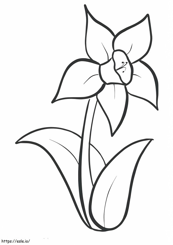 Pretty Narcissus coloring page