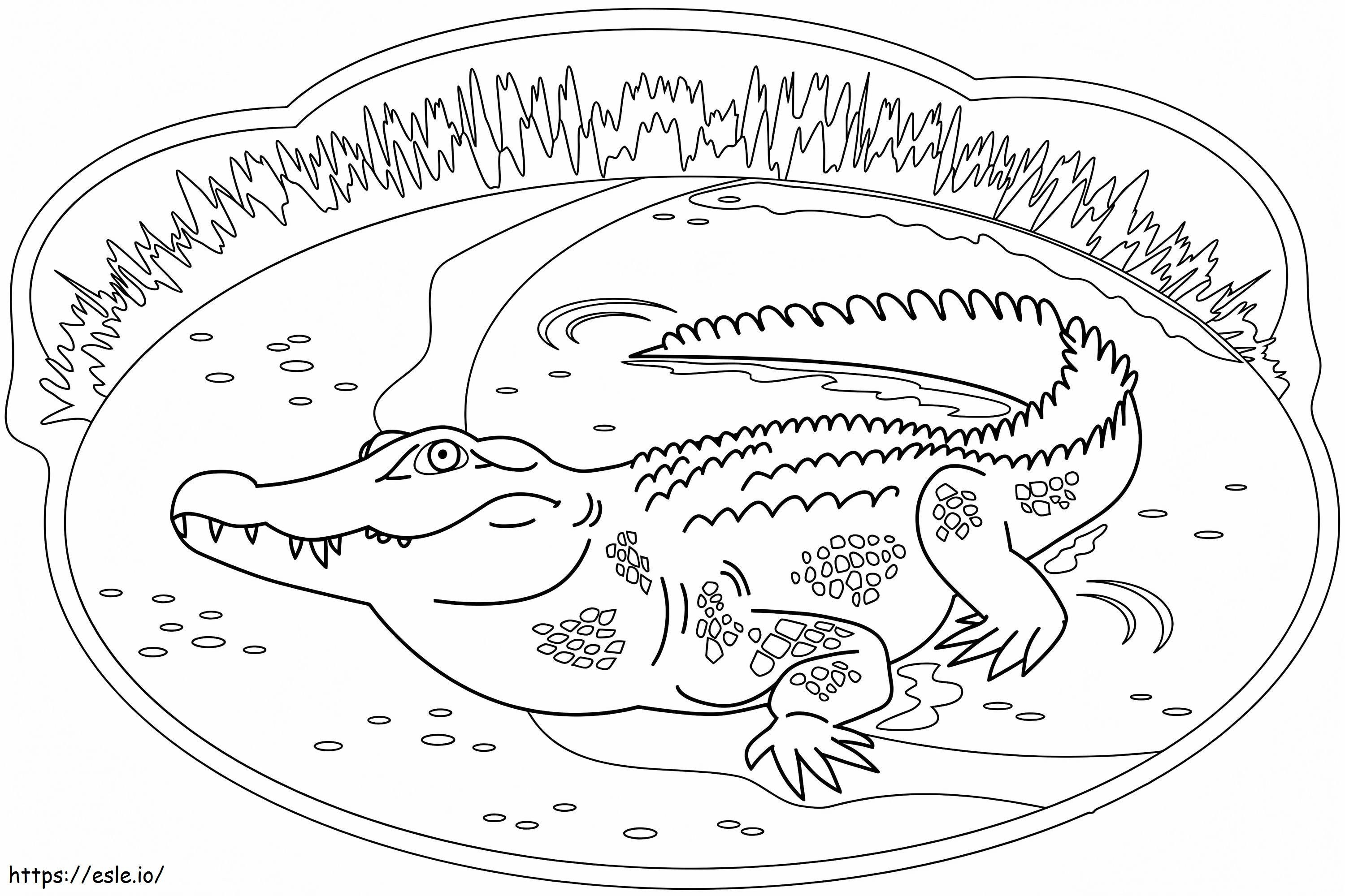 A Crocodile coloring page