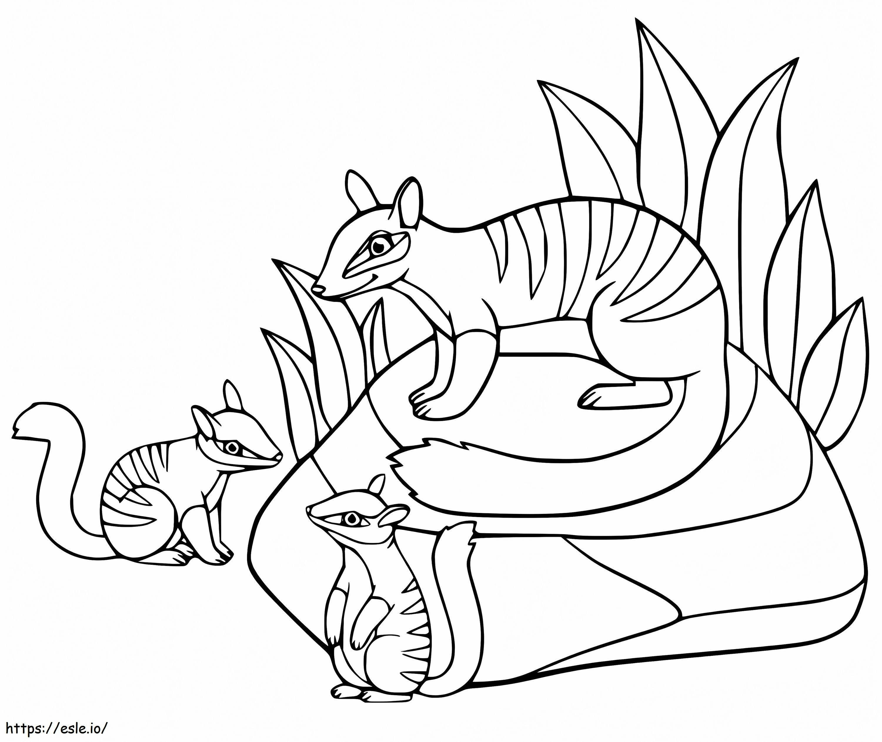 Numbat Family coloring page