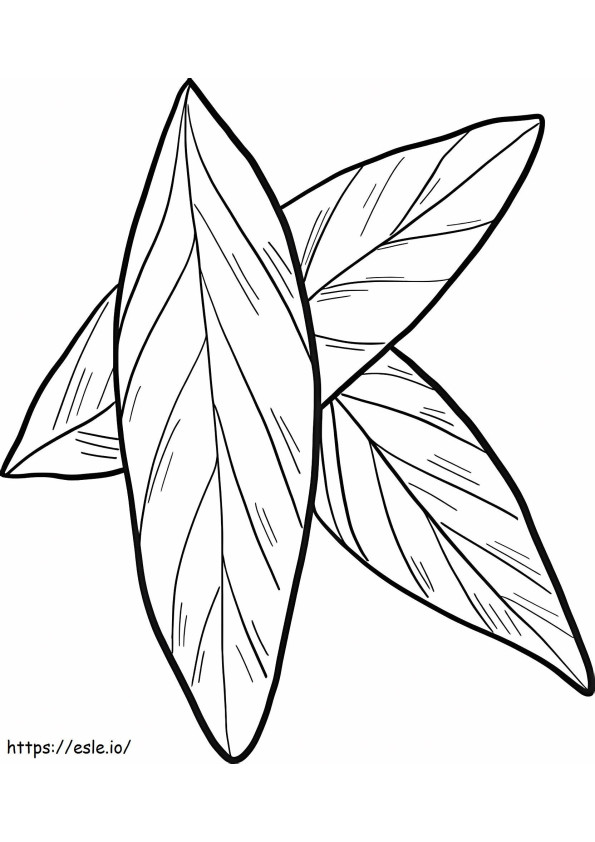 Tre foglie di alloro da colorare