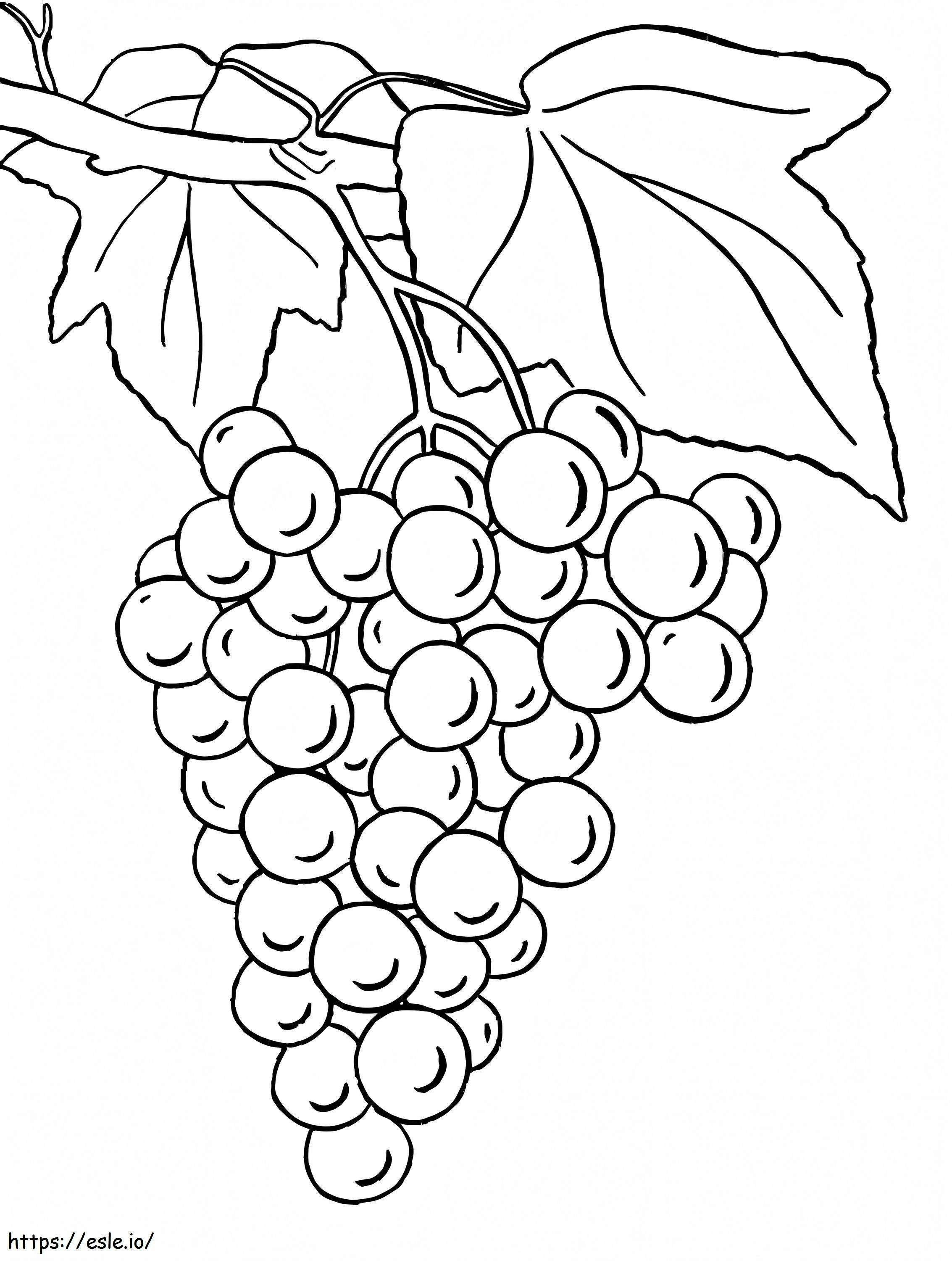 Druiven Met Bladeren kleurplaat kleurplaat