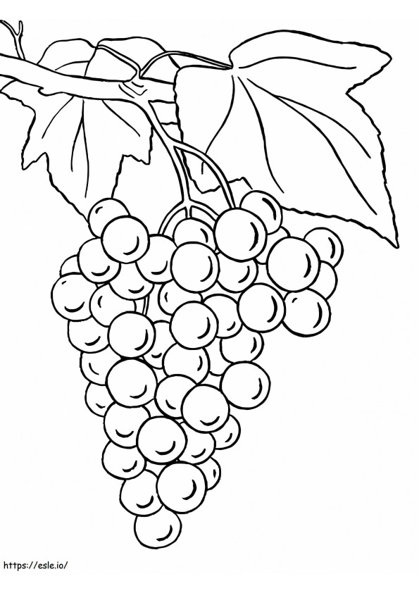 Coloriage Raisins avec feuilles à imprimer dessin