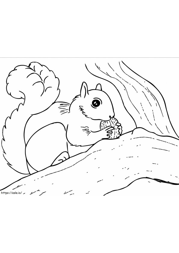 Eichhörnchen frisst Eichel 1 ausmalbilder
