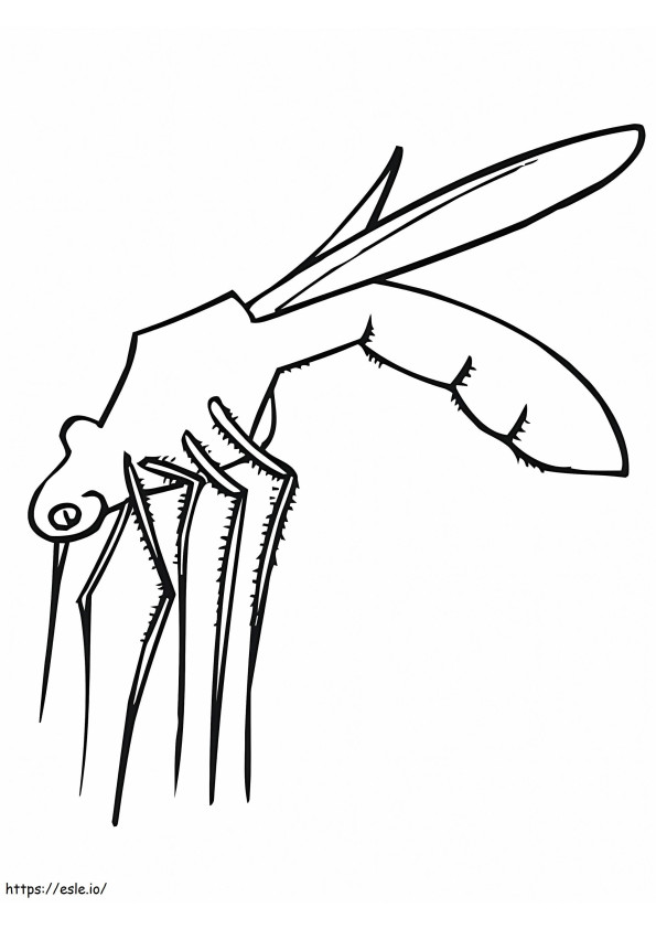 Lineart Mosquito coloring page