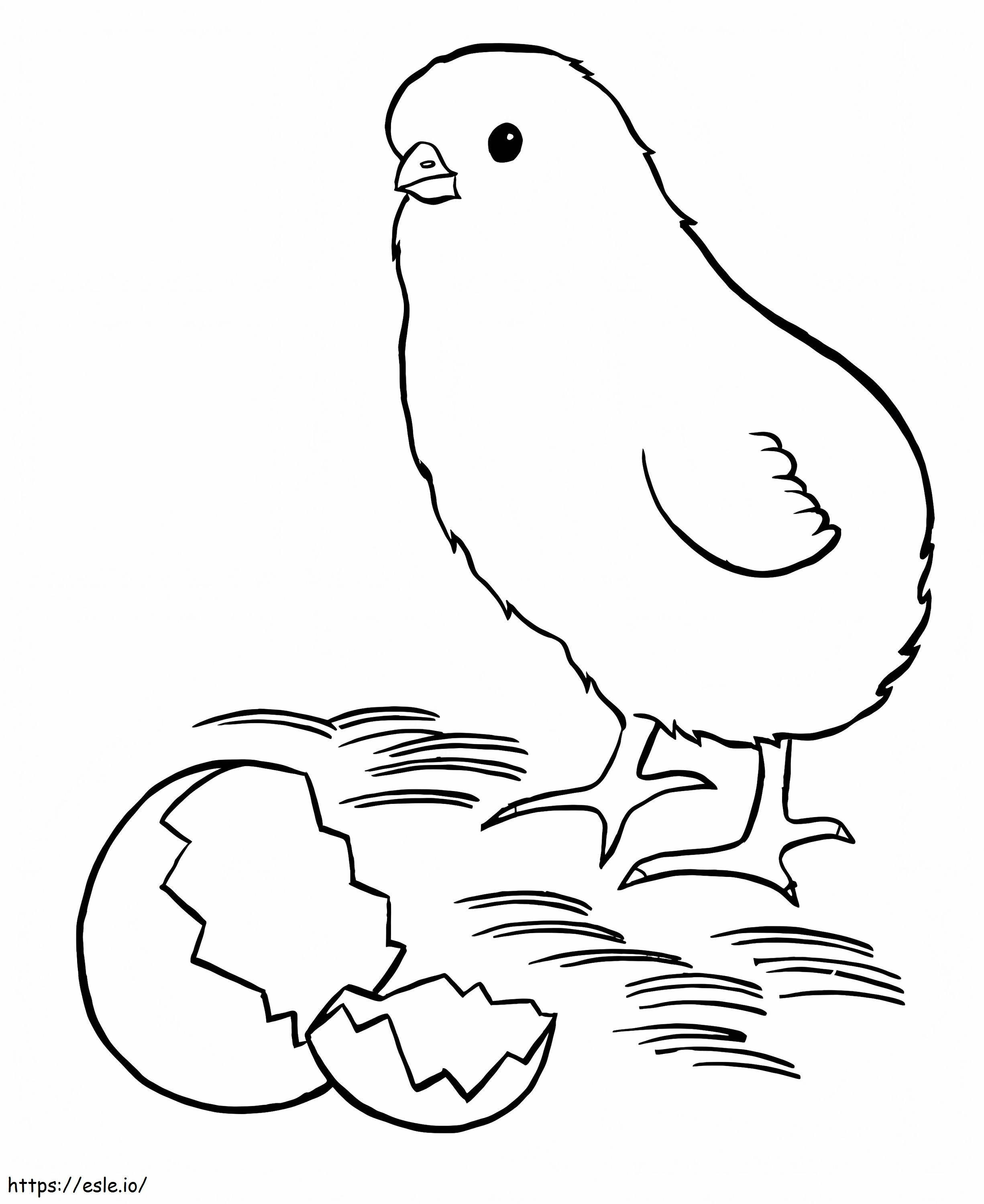 Chick And Egg coloring page