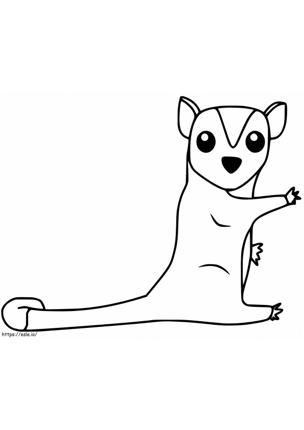 Adorable Sugar Glider