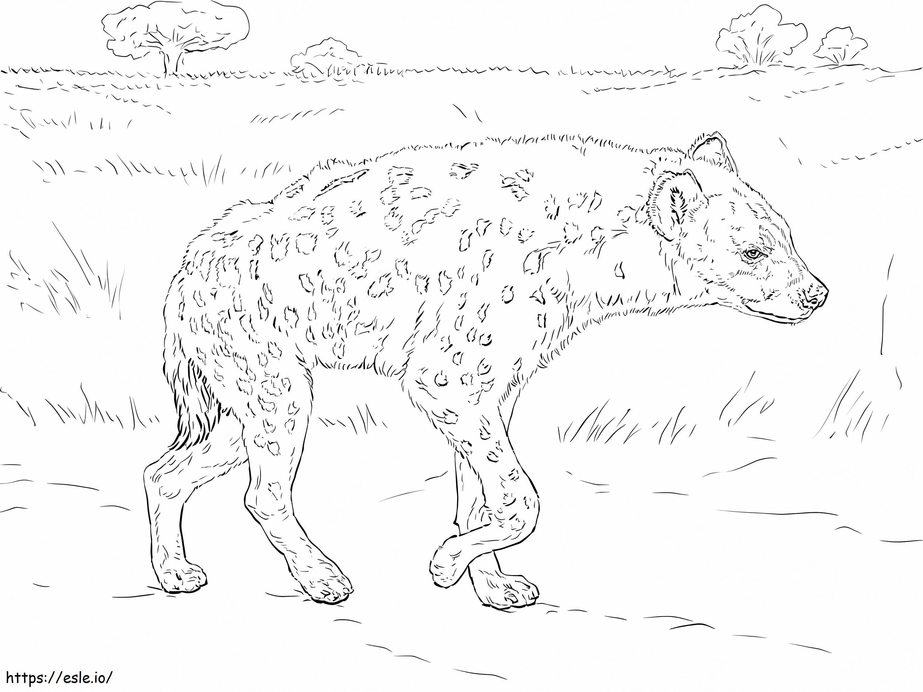 Coloriage Hyène tachetée à imprimer dessin