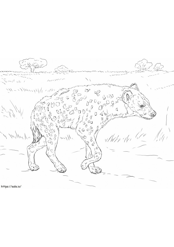 Gevlekte hyena kleurplaat