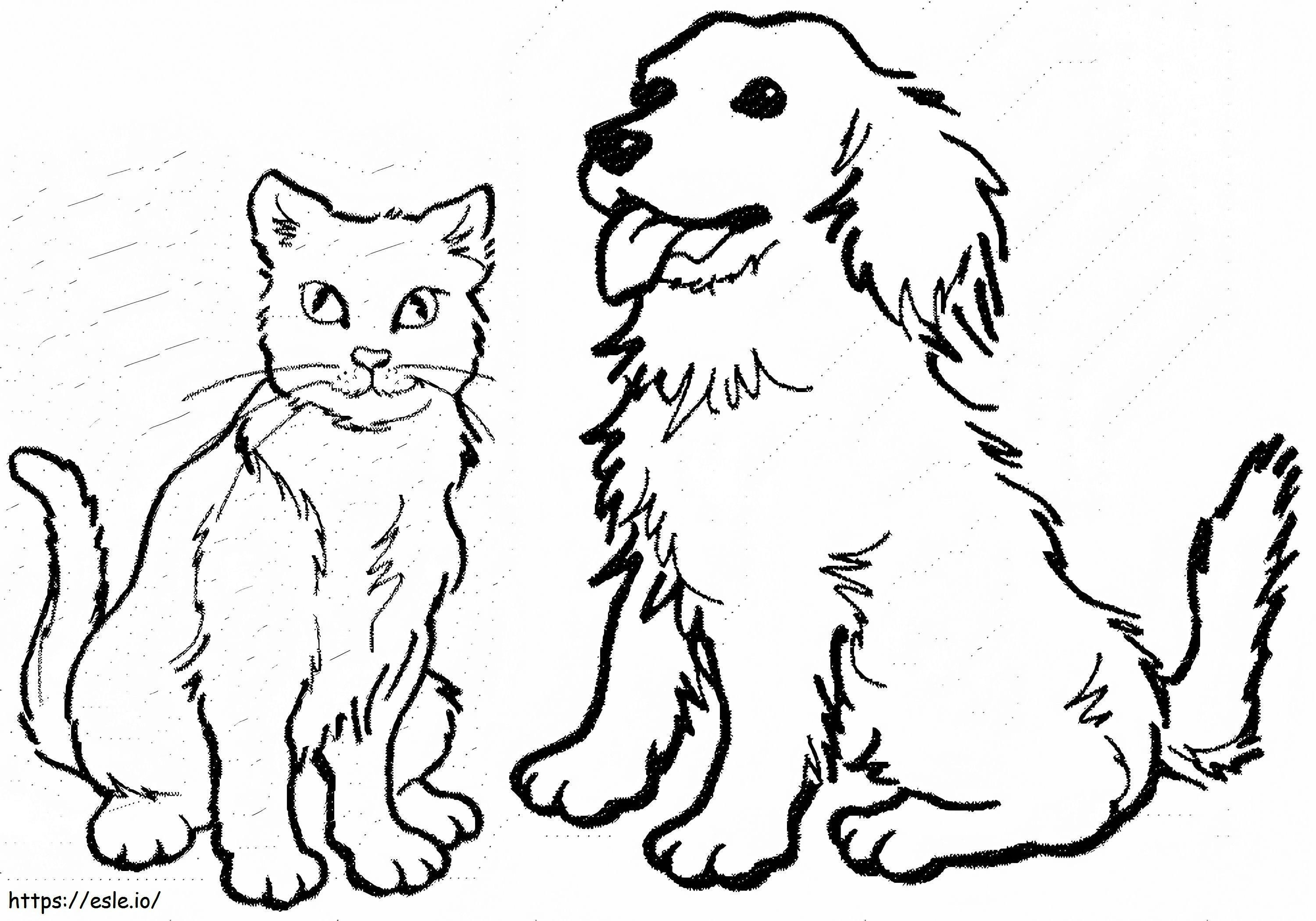 Cane e gatto normali da colorare