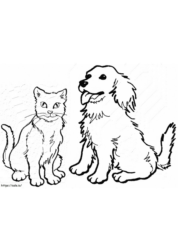Cão e gato normais para colorir