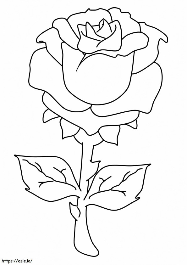Een roos kleurplaat kleurplaat