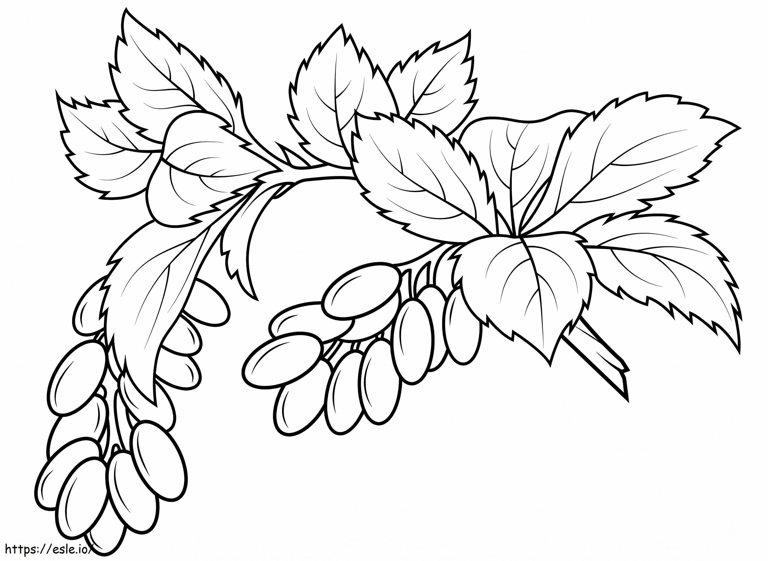 1559787625 Berry Branch A4 coloring page
