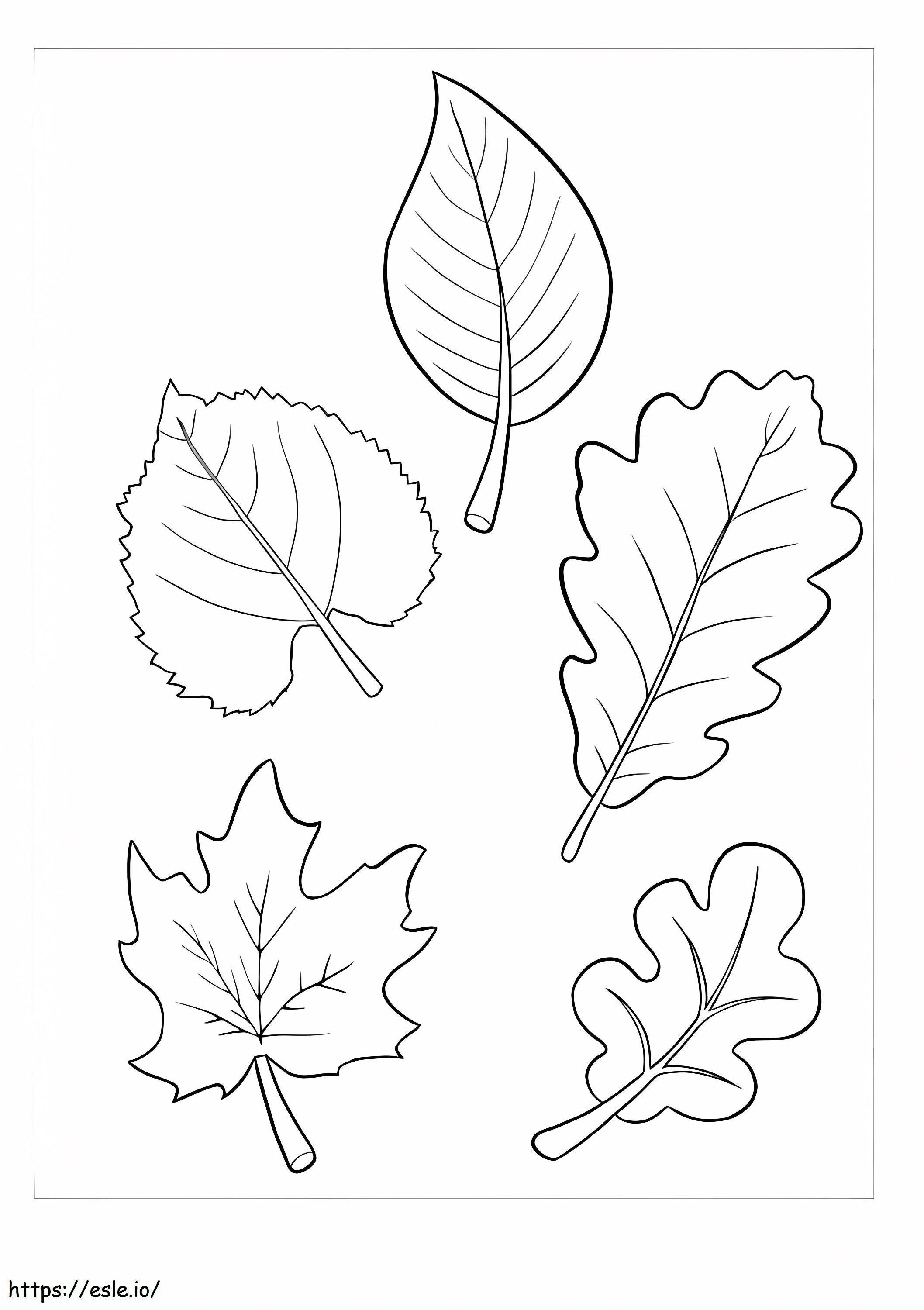 Fünf Blätter ausmalbilder