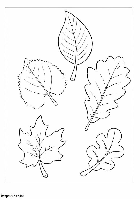 Coloriage Cinq feuilles à imprimer dessin