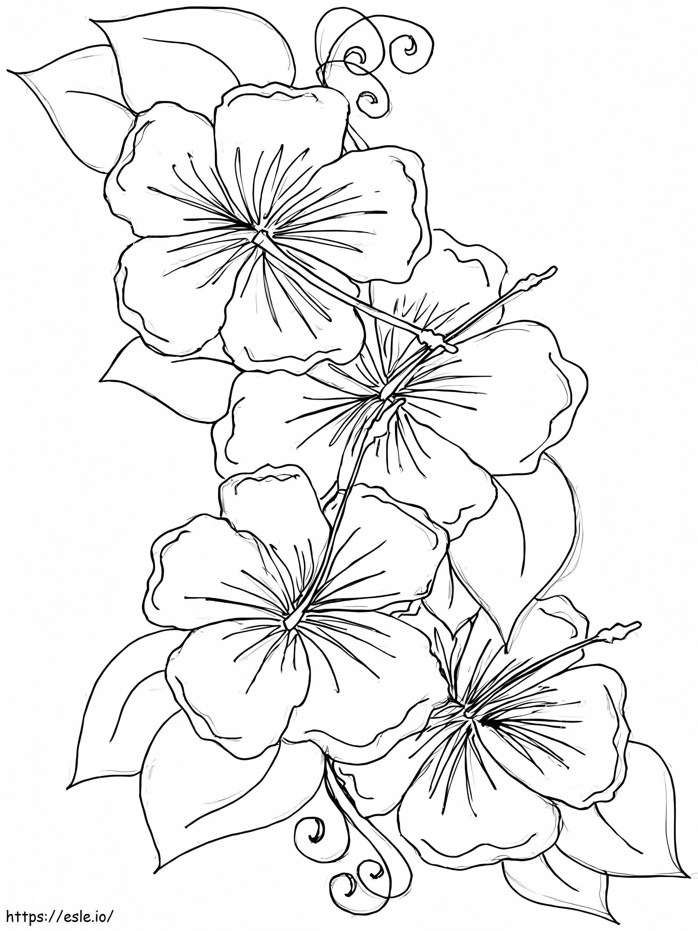Hibiscus Flowers 2 coloring page