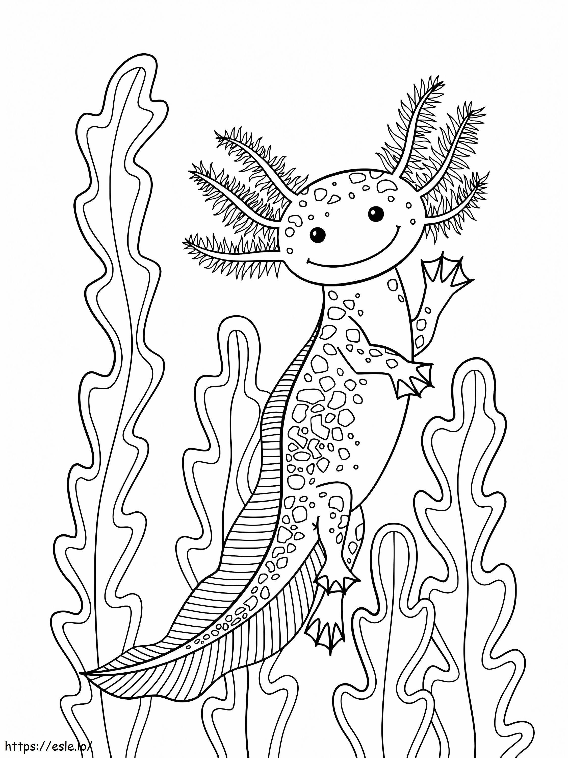 Axolotl sorridente da colorare