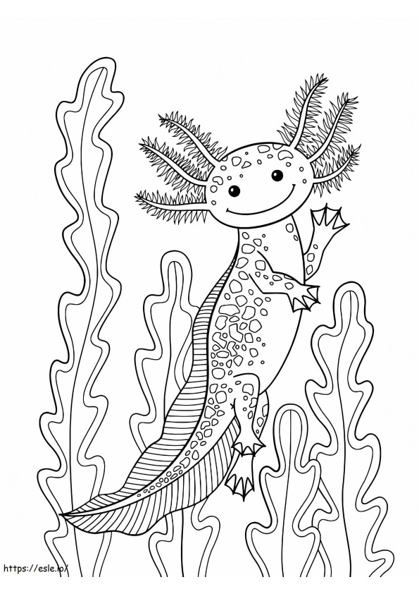 Axolotl hymyilee värityskuva
