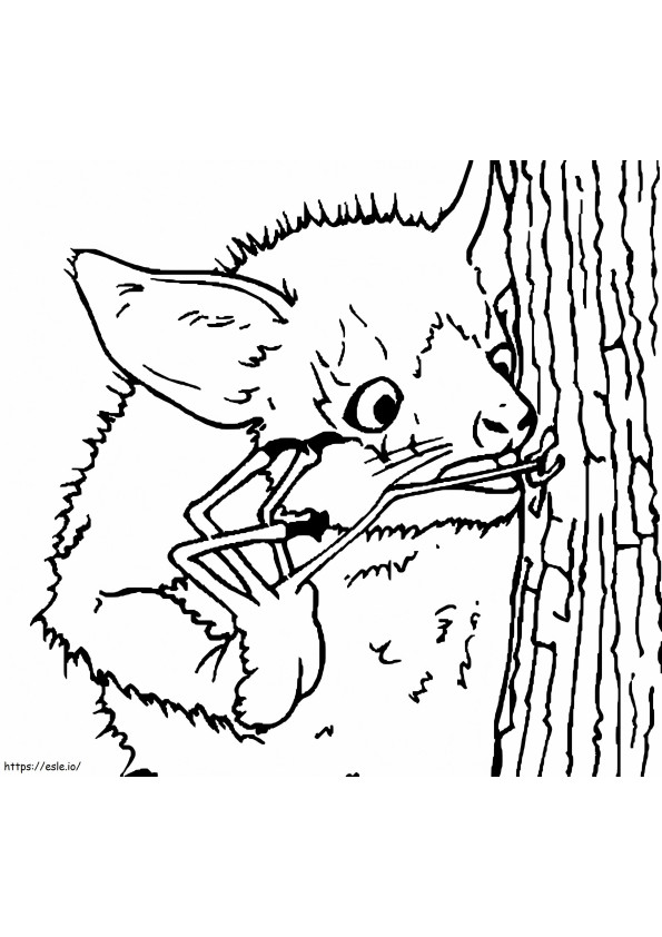 Aye Aye hängt an einem Baum