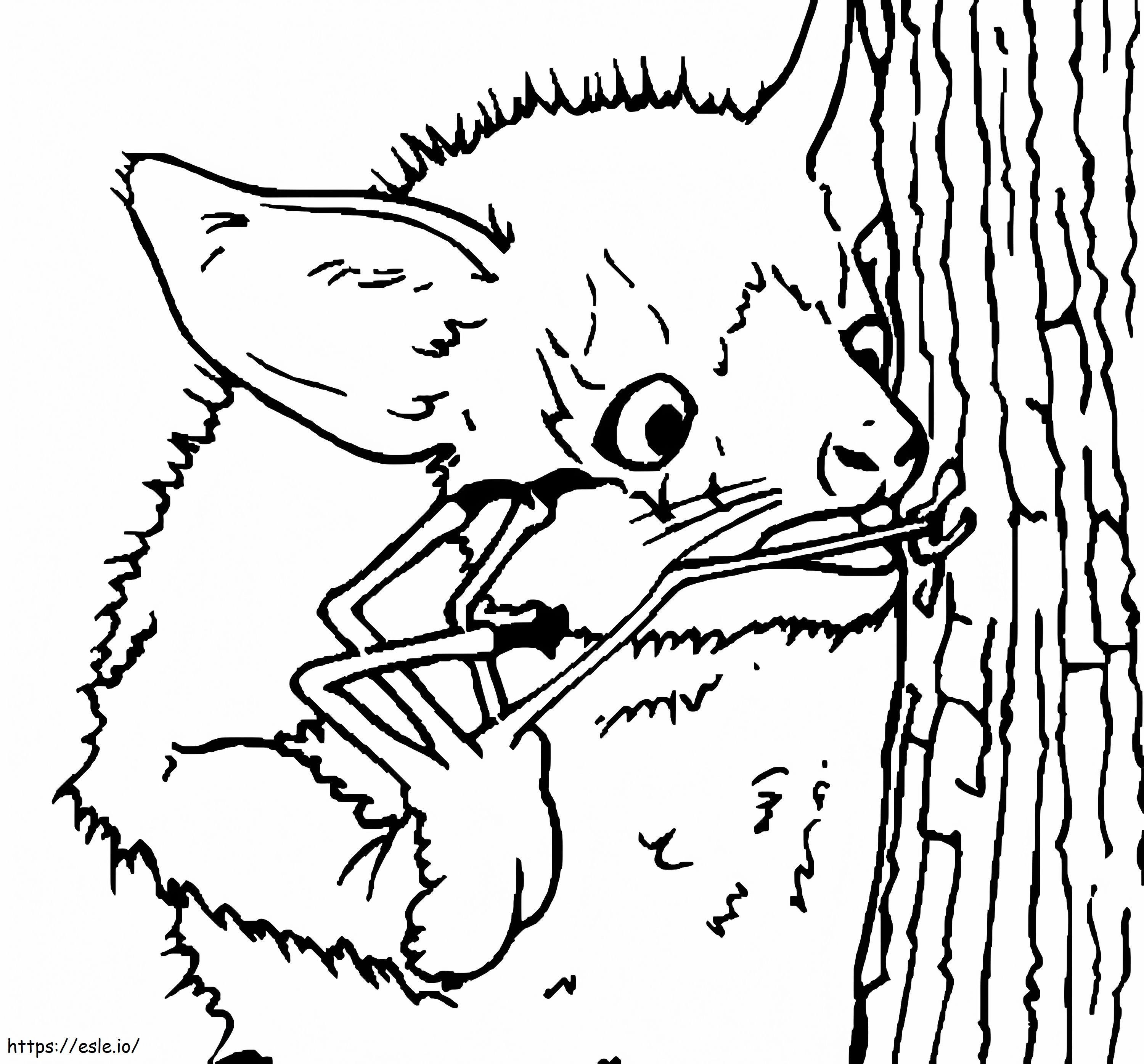 Aye Aye Hangs On A Tree coloring page