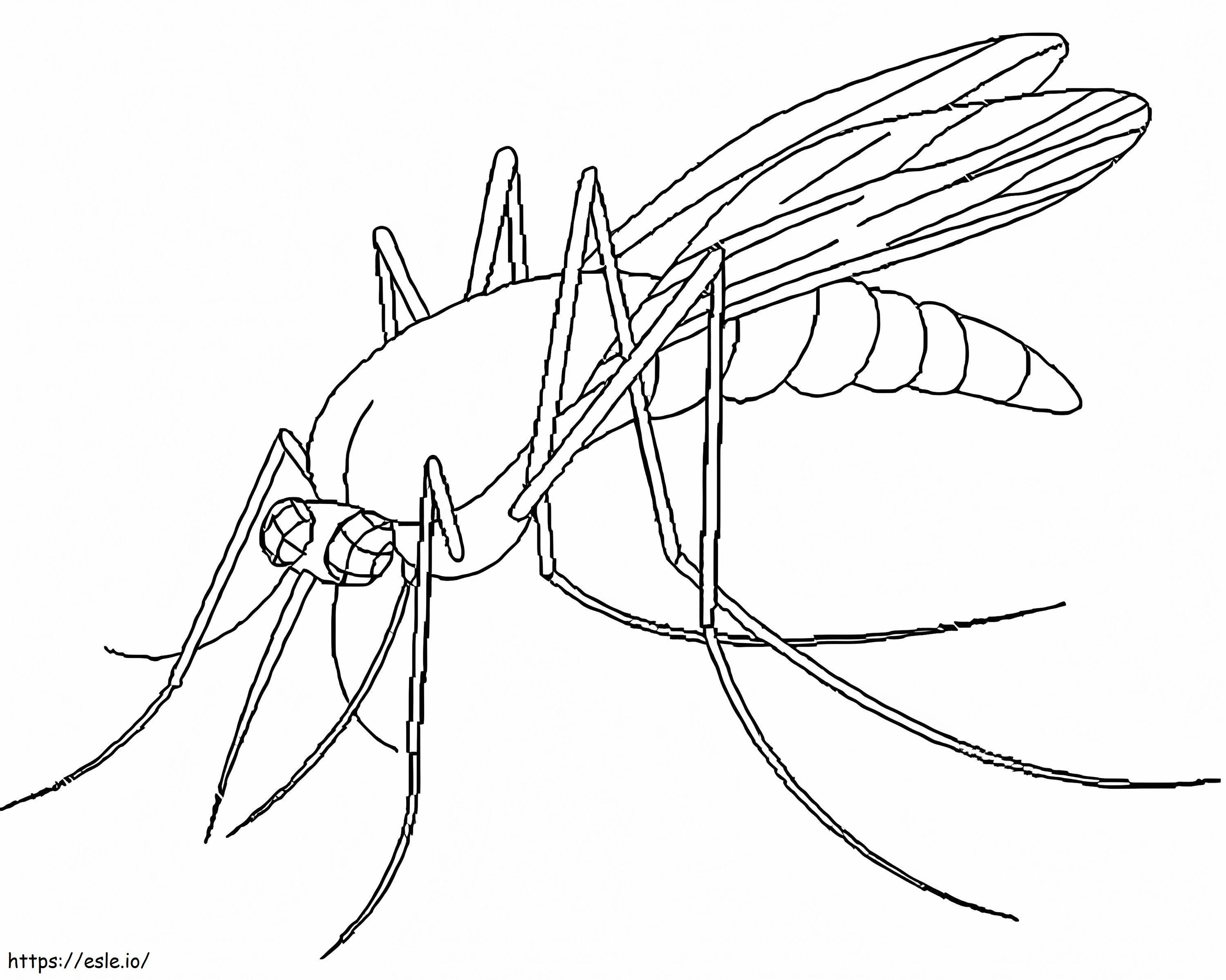 Mosquito assustador para colorir
