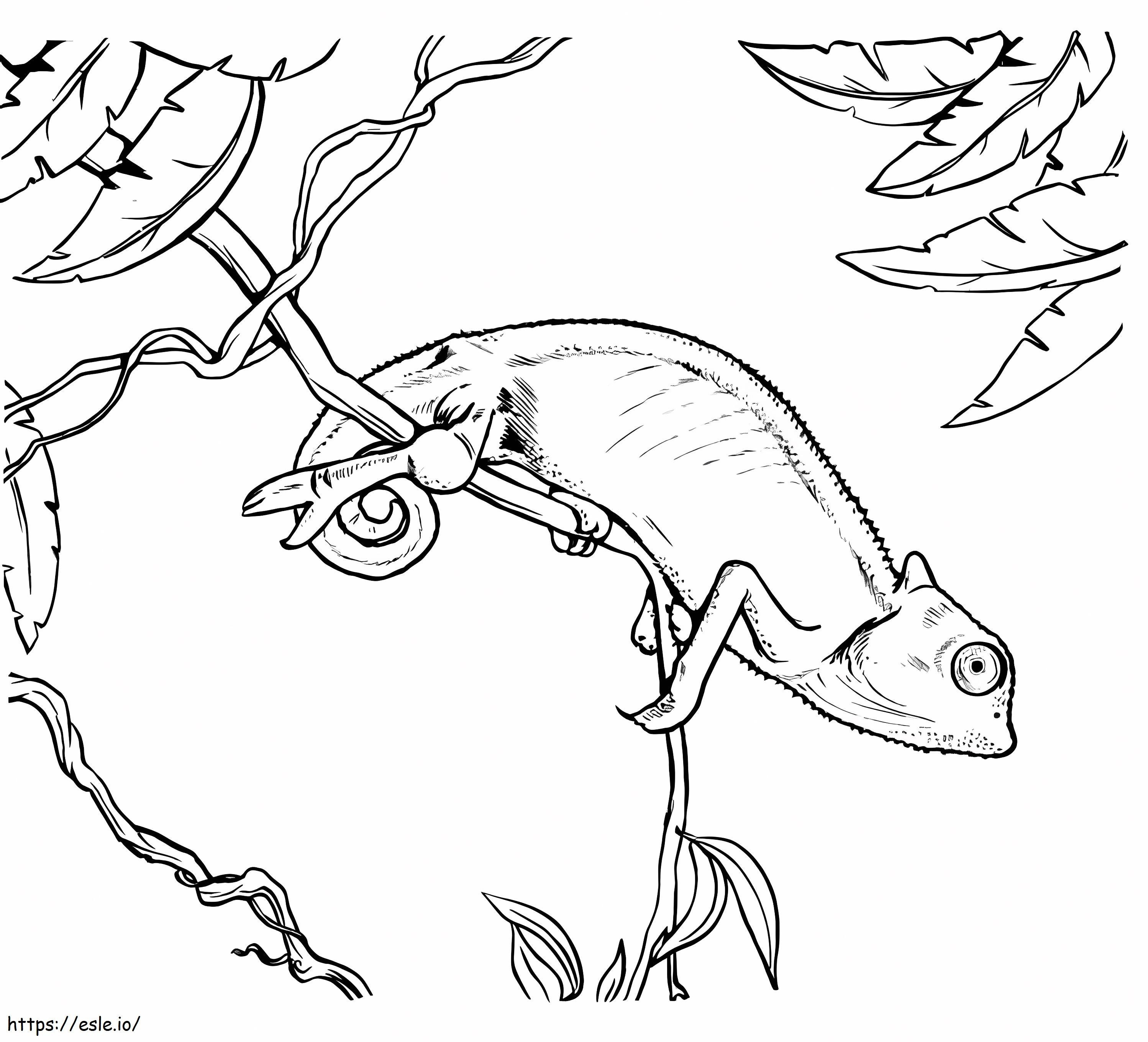 Chameleon 1 coloring page