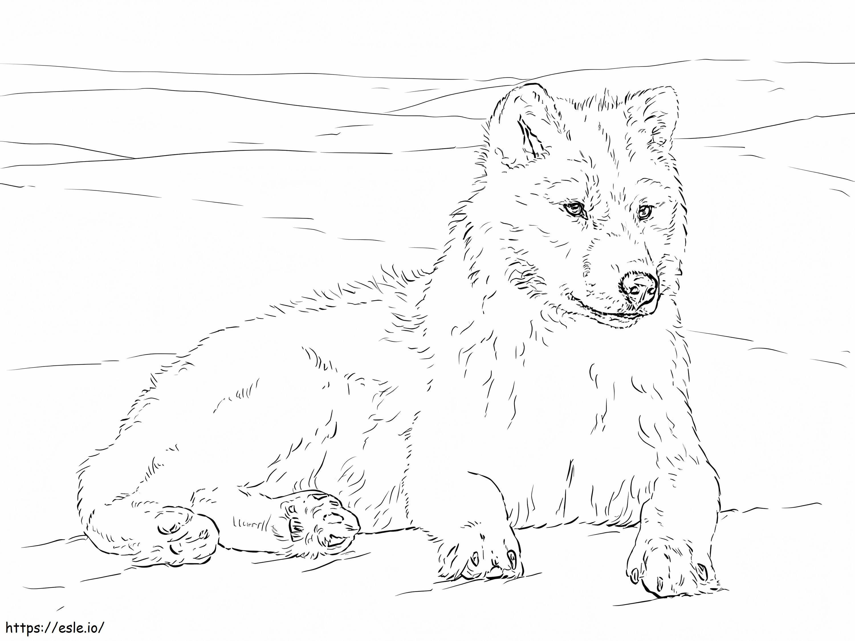 Arctic Wolf 1024X768 coloring page