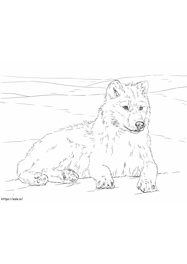 Coloriage Loup arctique 1024X768 à imprimer dessin