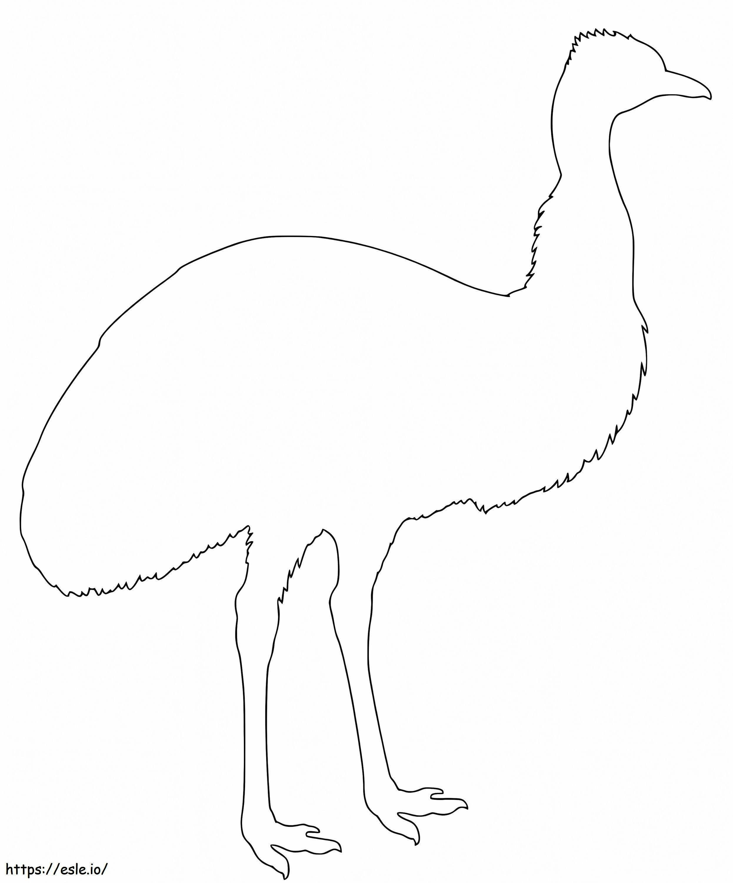Schema dell'emù da colorare