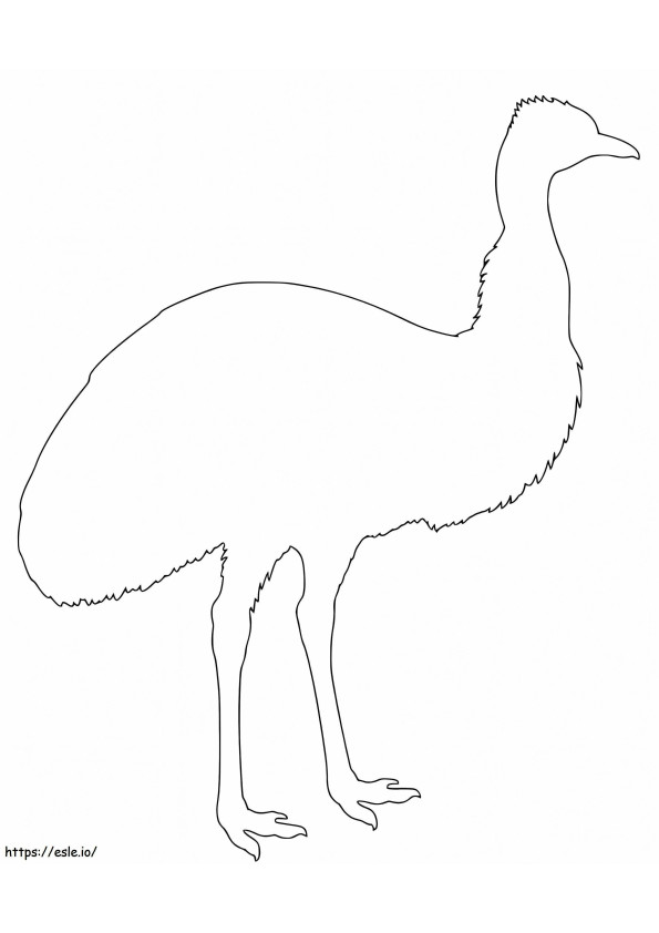 Contur Emu de colorat