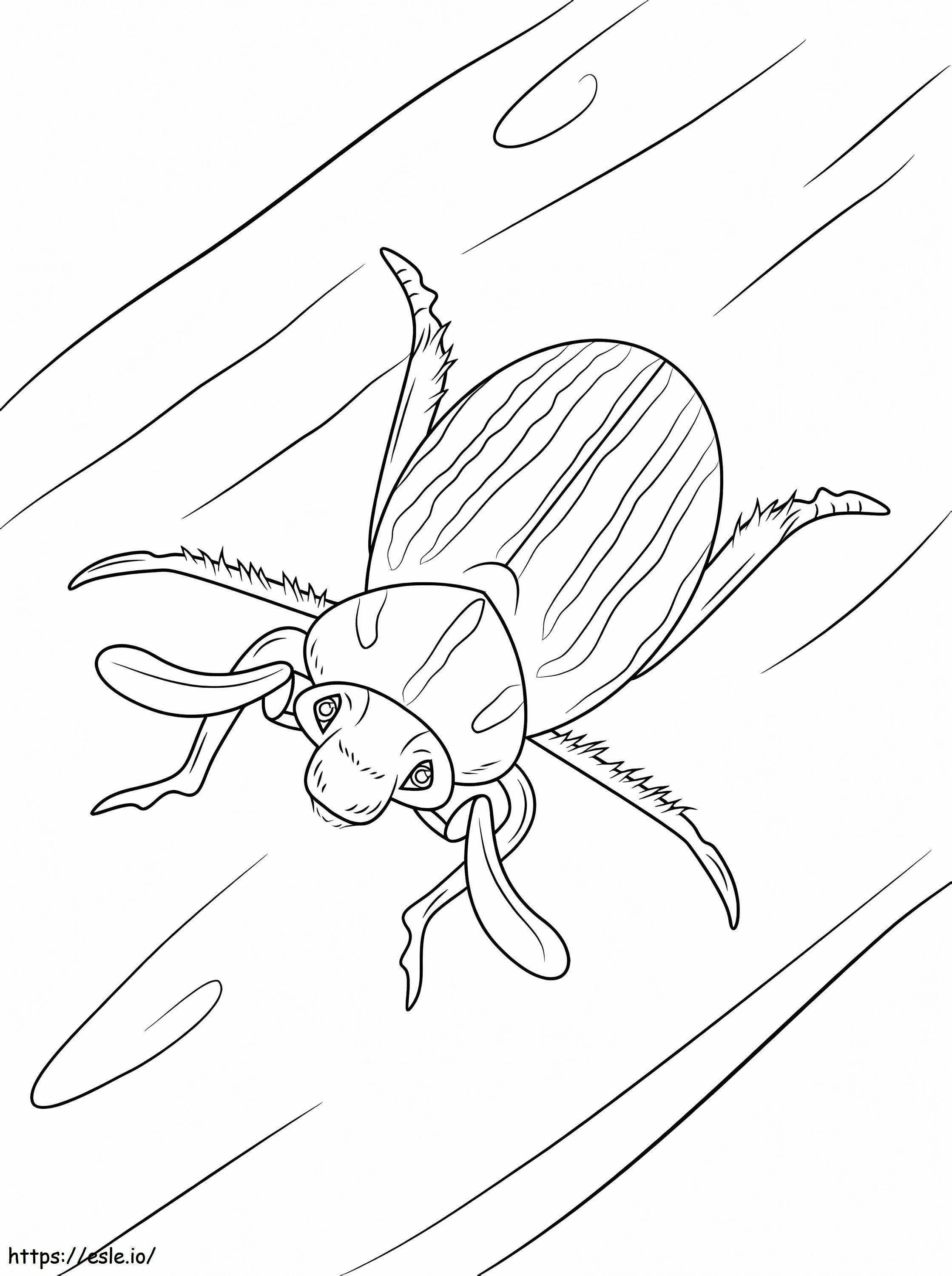 Escarabajo de junio de diez líneas para colorear