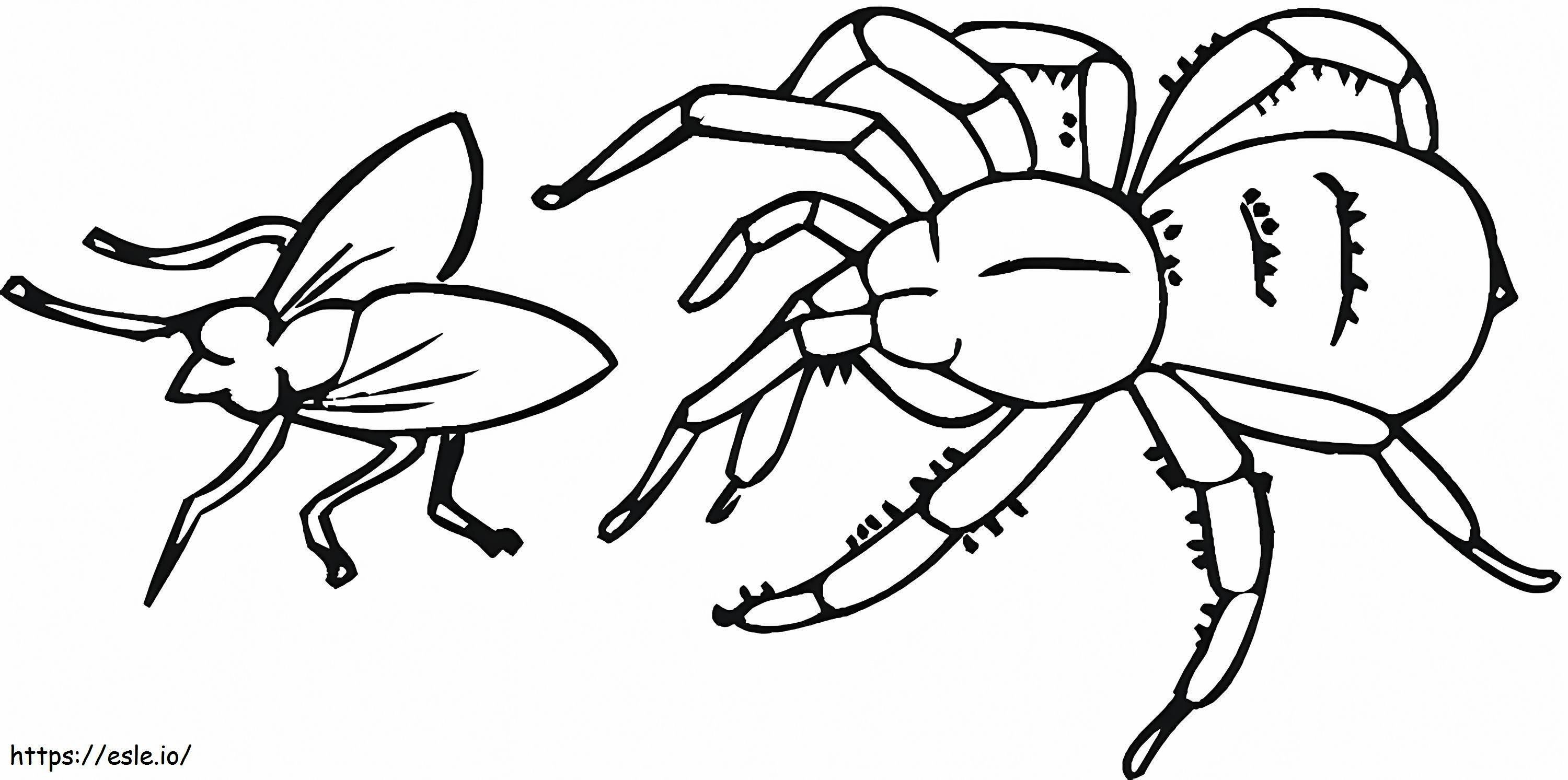 Aranha e mosca para colorir