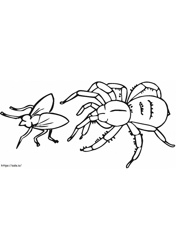 Coloriage Araignée et mouche à imprimer dessin