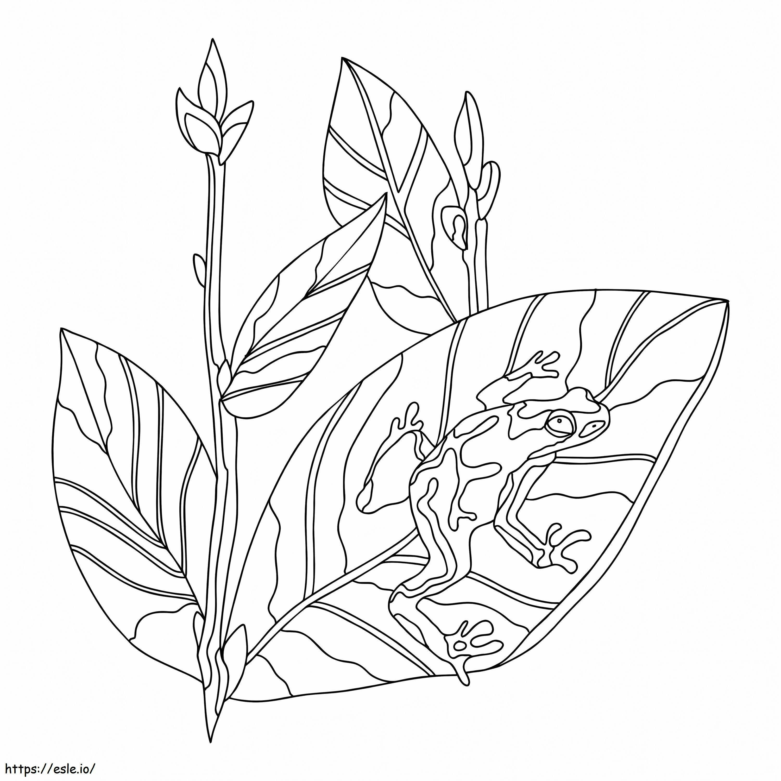 A Frog With Ginger Leaves coloring page