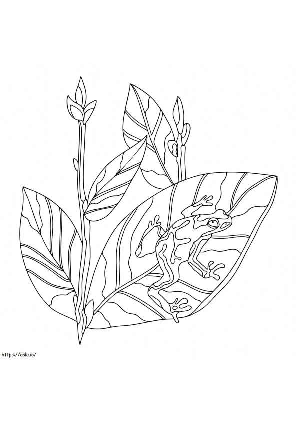 A Frog With Ginger Leaves coloring page