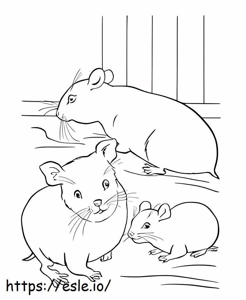 Three Hamster coloring page