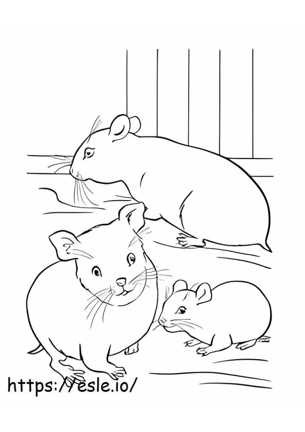 Coloriage Trois hamsters à imprimer dessin