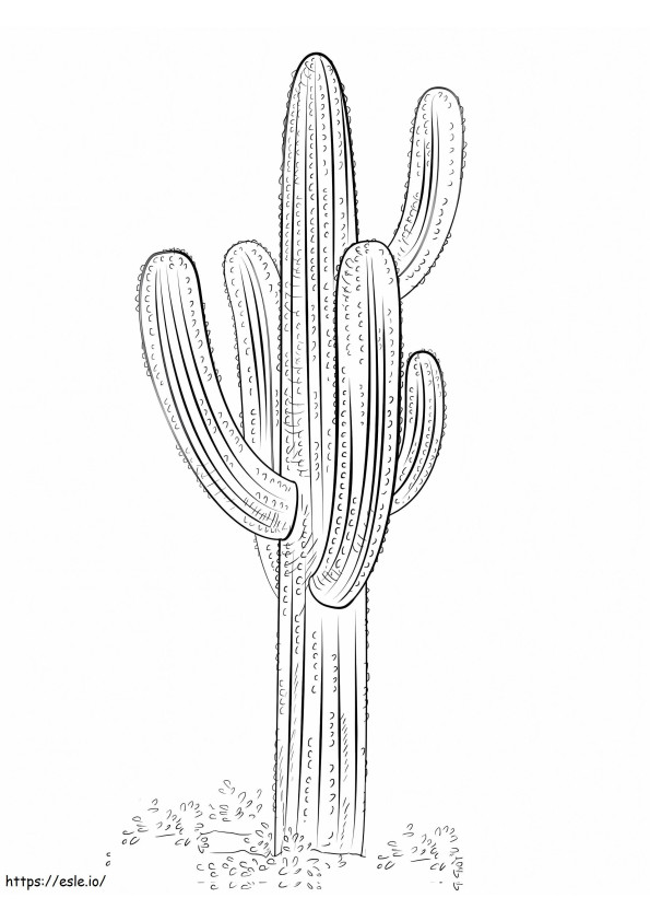 Coloriage 1595810936_Cactus Saguaro1 à imprimer dessin