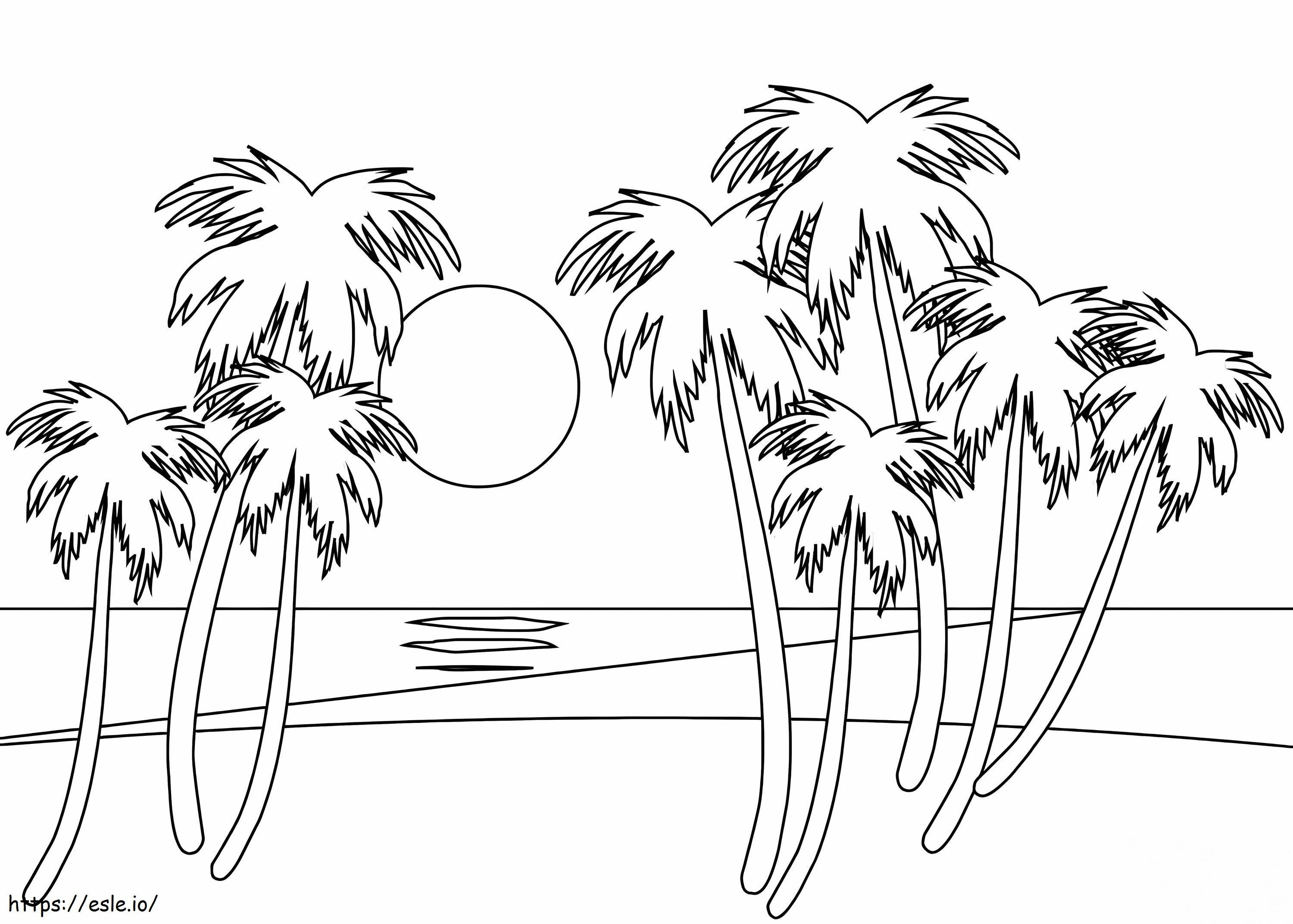 Zonsondergang En Palmboom kleurplaat kleurplaat