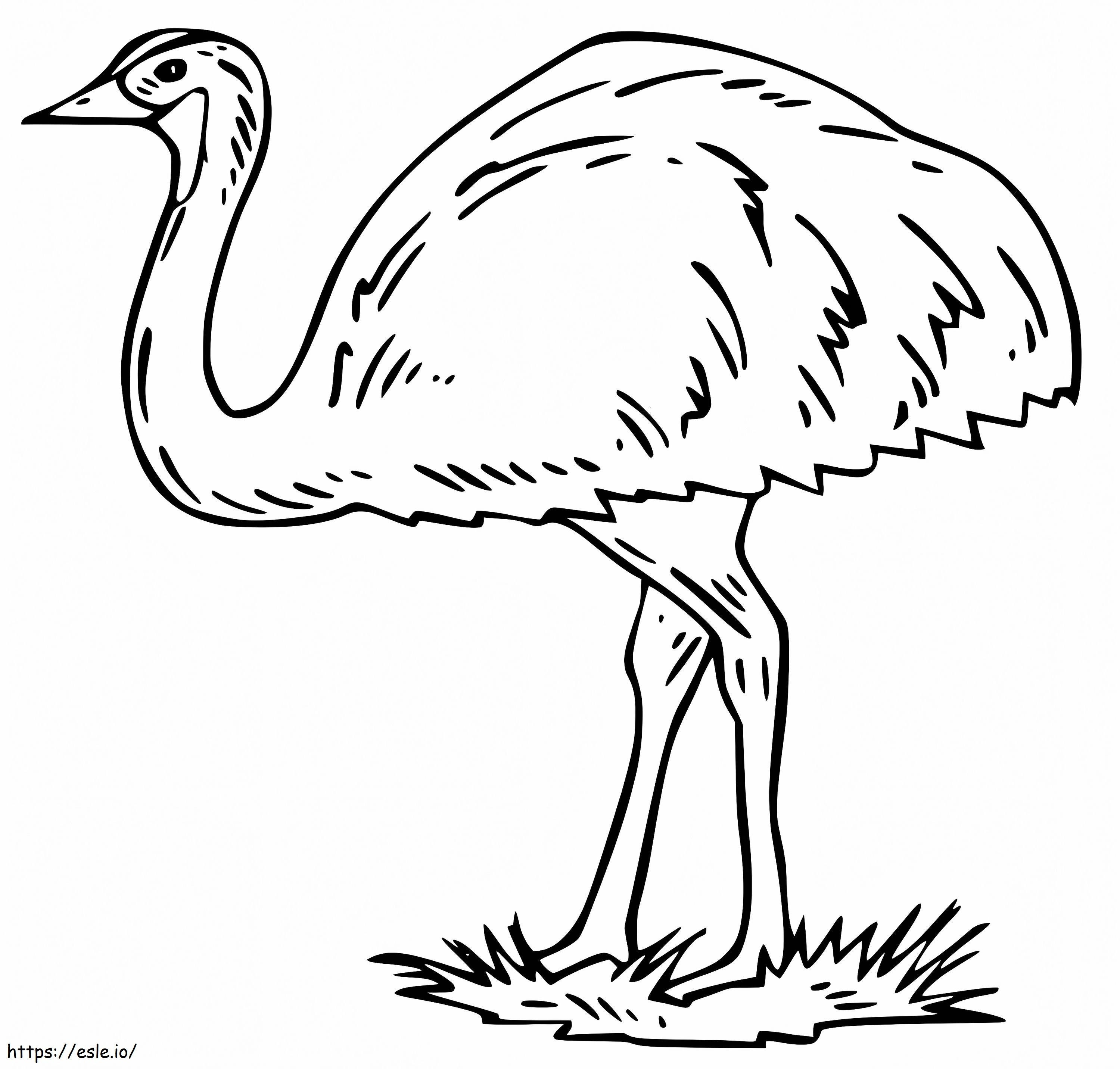 Emu 1 coloring page