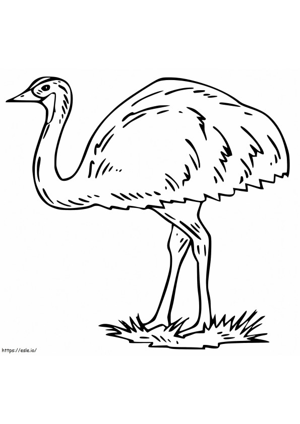 Emú 1 para colorear