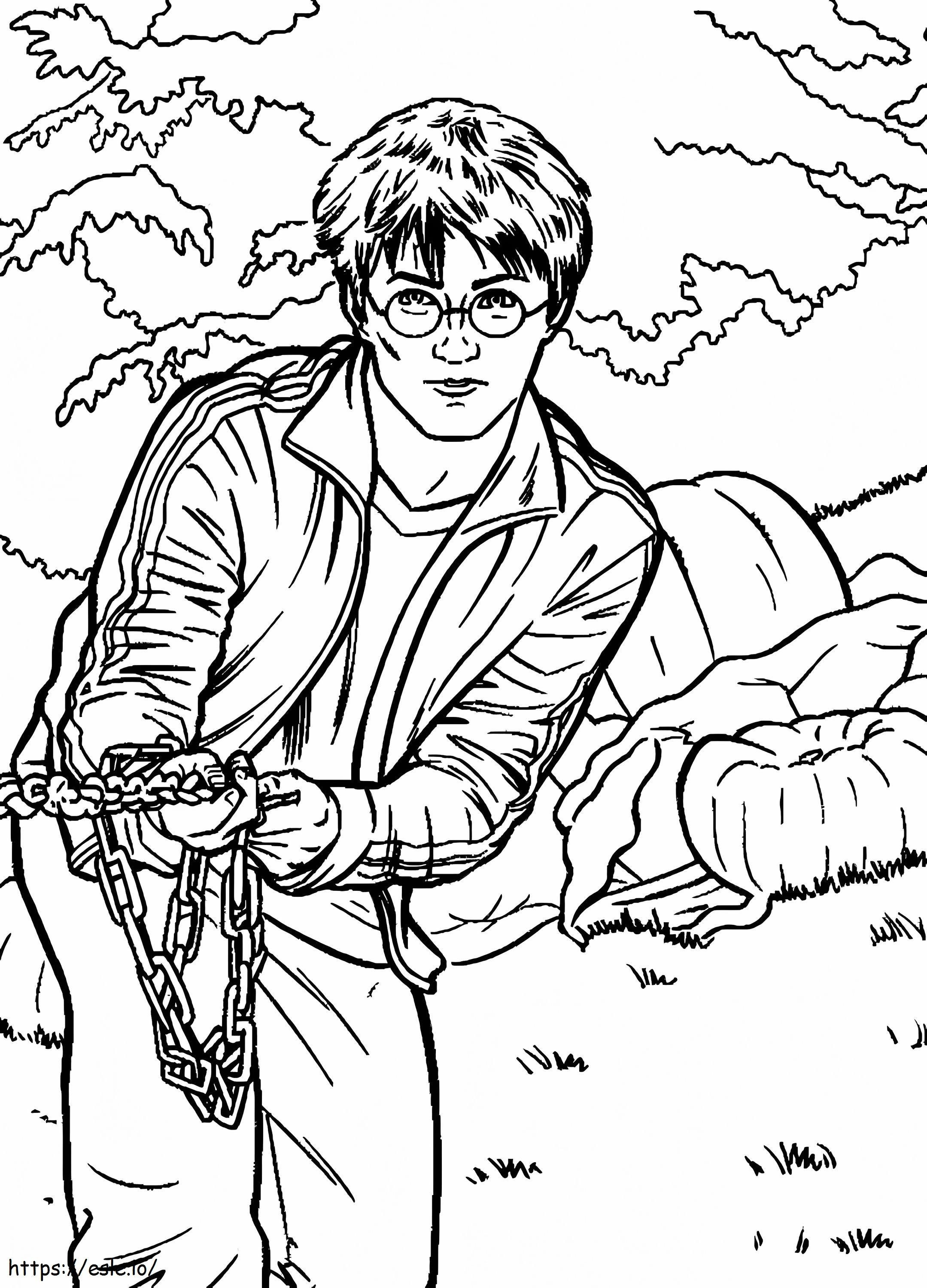 Harry Potter 6 737X1024 coloring page